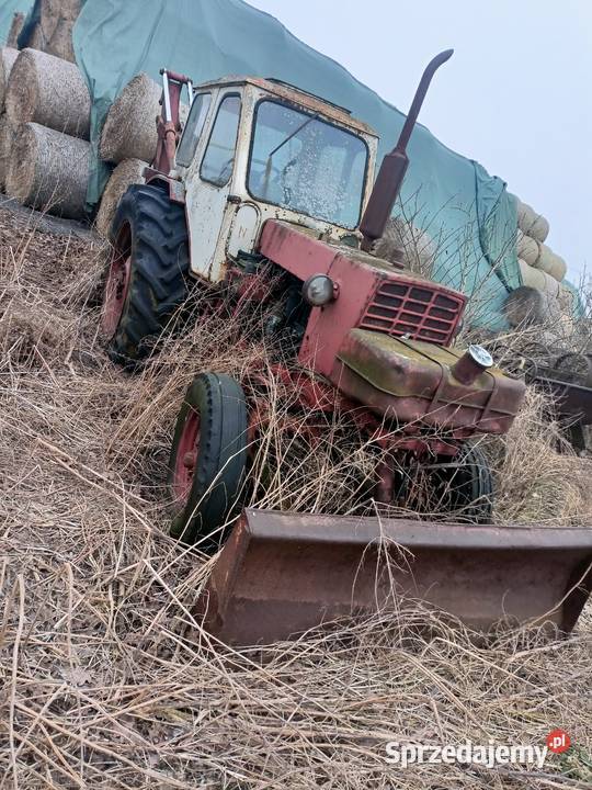 Już Białoruś koparka Pozostałe Pozostałe wielkopolskie