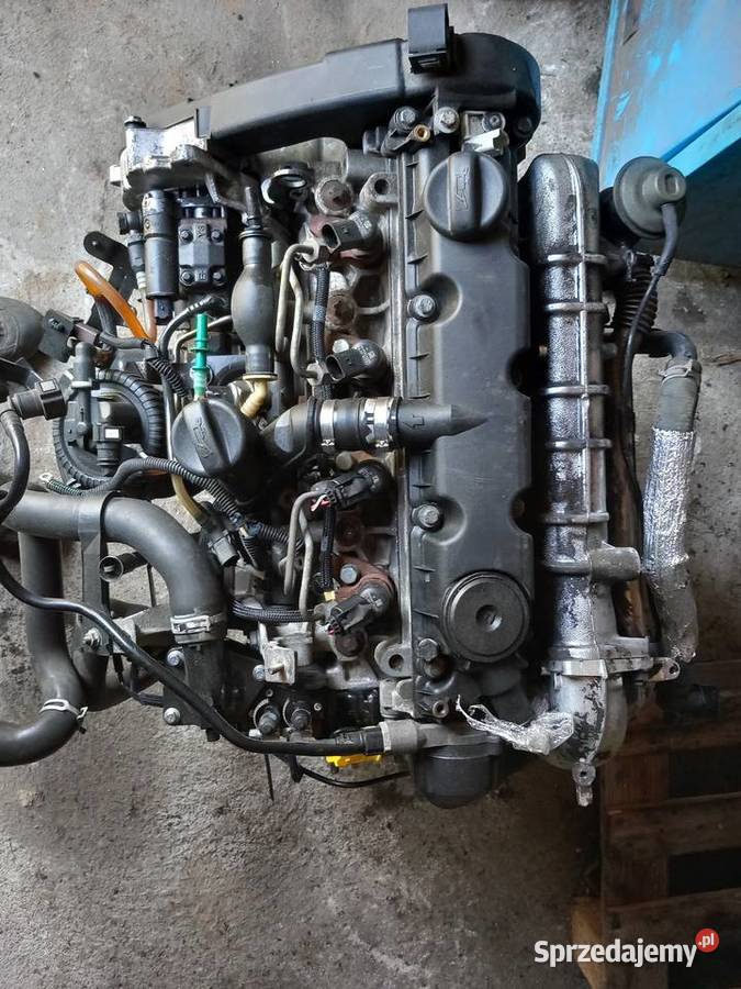 Silnik 20 HDI RHY 10DYSA Citroen Peugeot lubuskie Strzelce Krajeńskie sprzedam