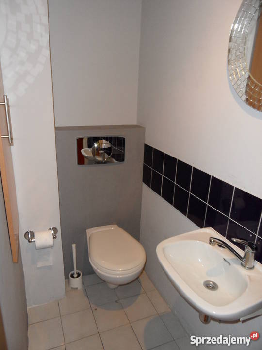 Bugaj Wajsówny BEZPOŚREDNIO