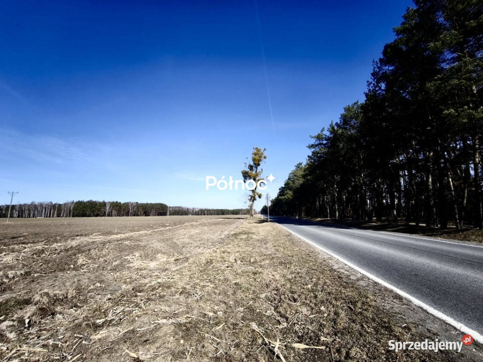 Działki budowlane Elżbiecin gmina Kodeń Sprzedaż lubelskie