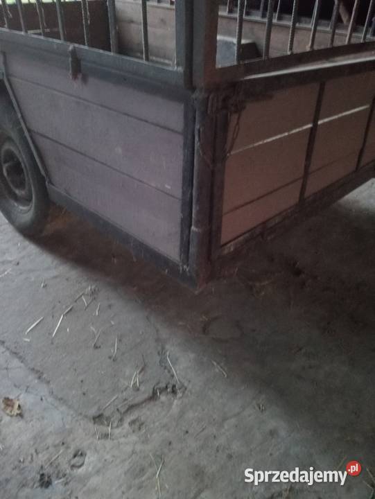 Dwukółka przyczepka przyczepa jednoosiowa Królików