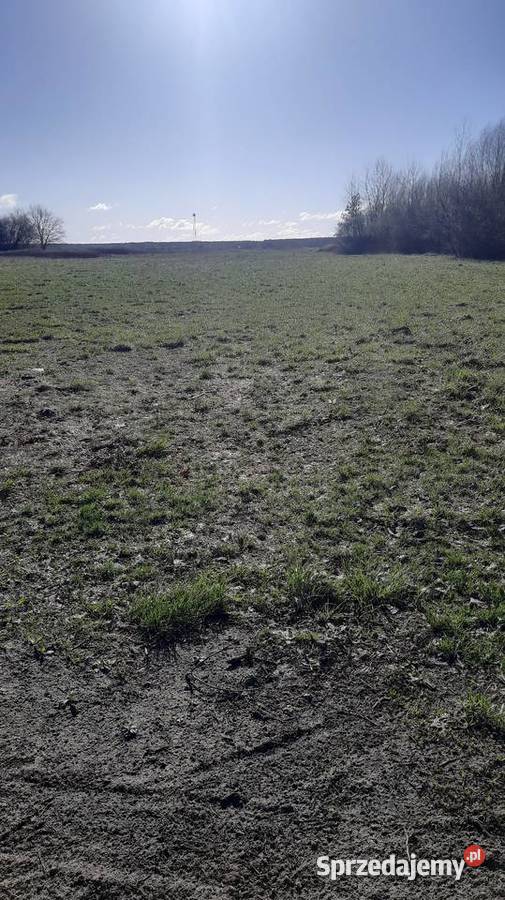 Działka budowlana w Łąkach Radzymińskich pod woda Warszawa