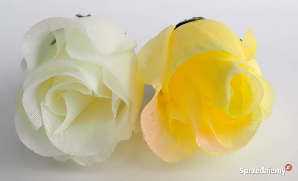 Róże w postaci pąków różne kolory średnica 45 Siewierz