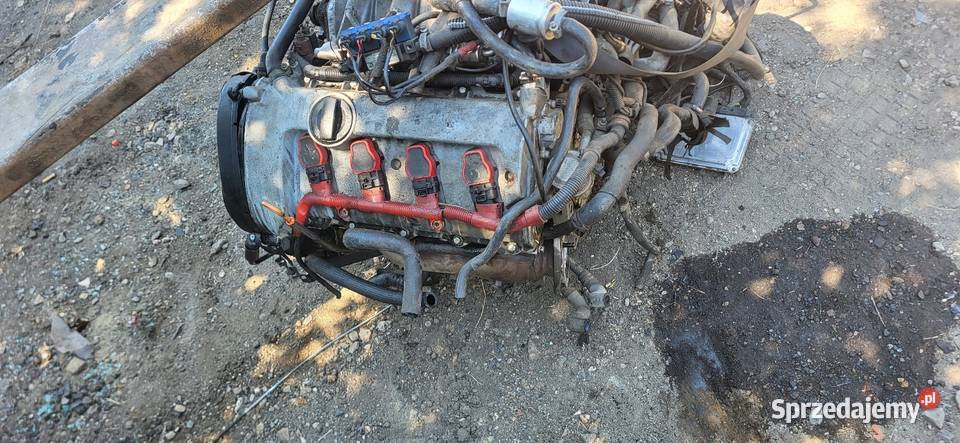 Silnik Audi A8 D3 42 V8 Kompletny z Gwarancją