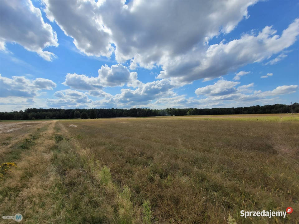 Sprzedaż gruntu 8000m2 Kluczewsko sprzedam