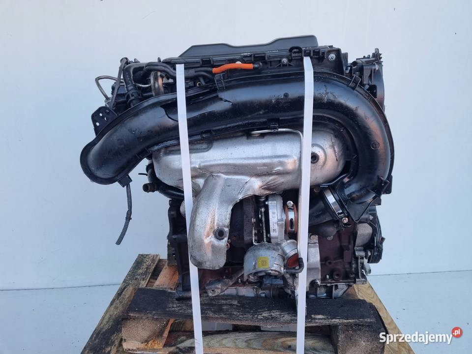 SILNIK BEZ OSPRZĘTU Ford Mondeo IV MK4 20 TDCI Rudka