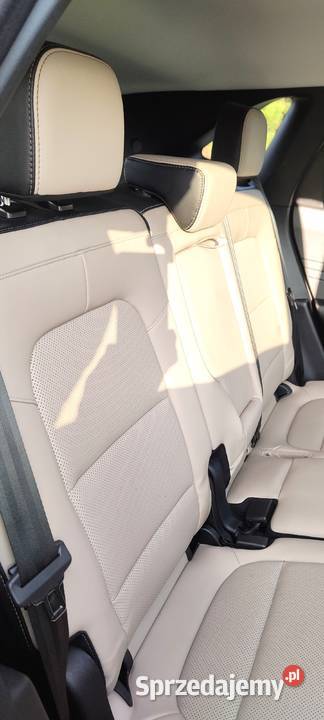 Ford Escape 2021 25l Hybryda FHEV FWD 200 46000 Chrzanów