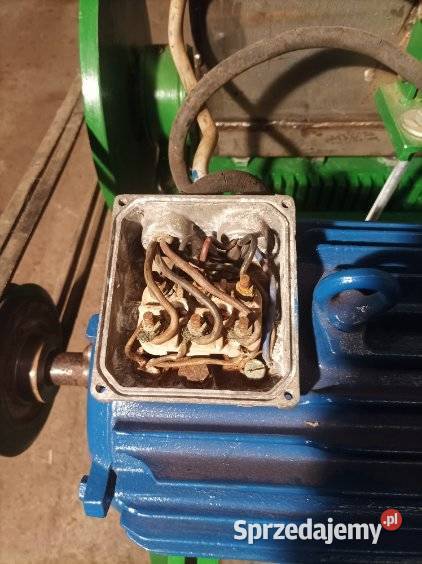 Kościarka wilk kruszarka Sławno