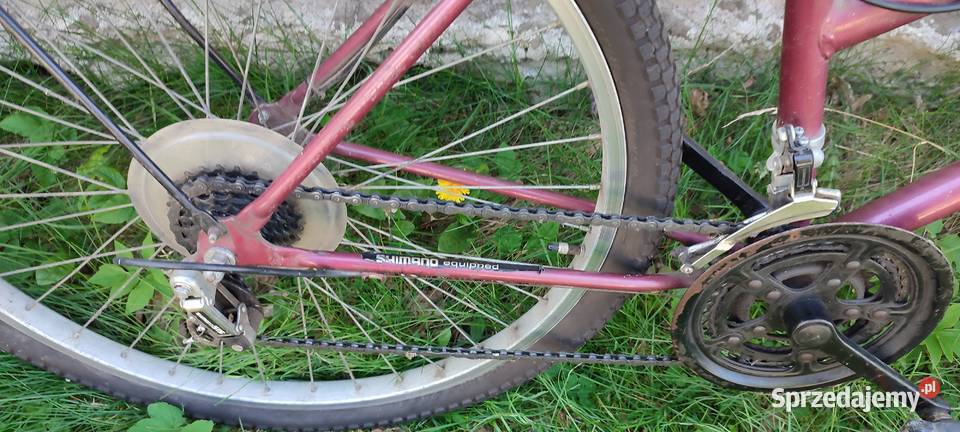 Rower damski Bełchatów