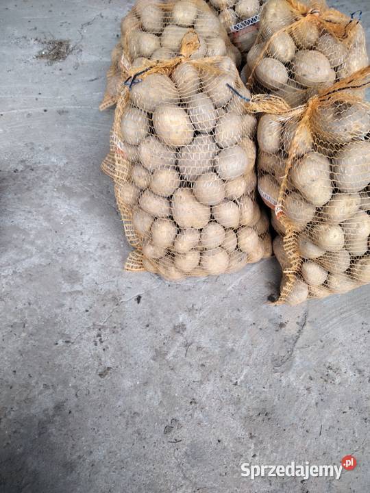 Ziemniaki do jedzenia z ogródka Sochaczew