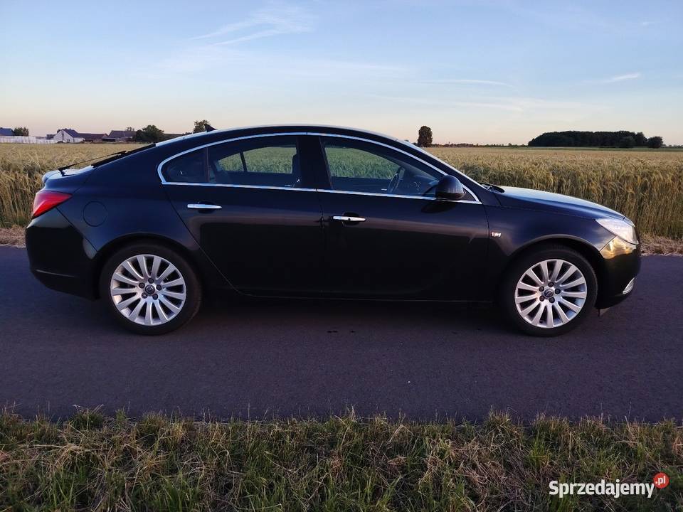 Opel Insignia 20 130 2010 Rok produkcji 2010 Charłub