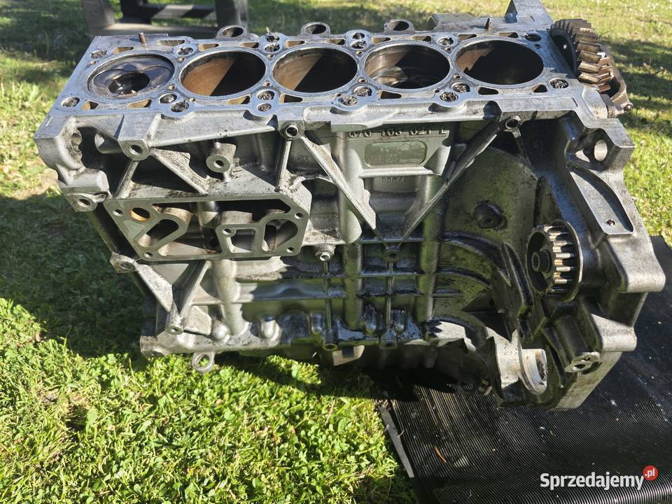 Blok Silnika Vw T5 25 TDI BNZ 070 103 021L małopolskie Skawina
