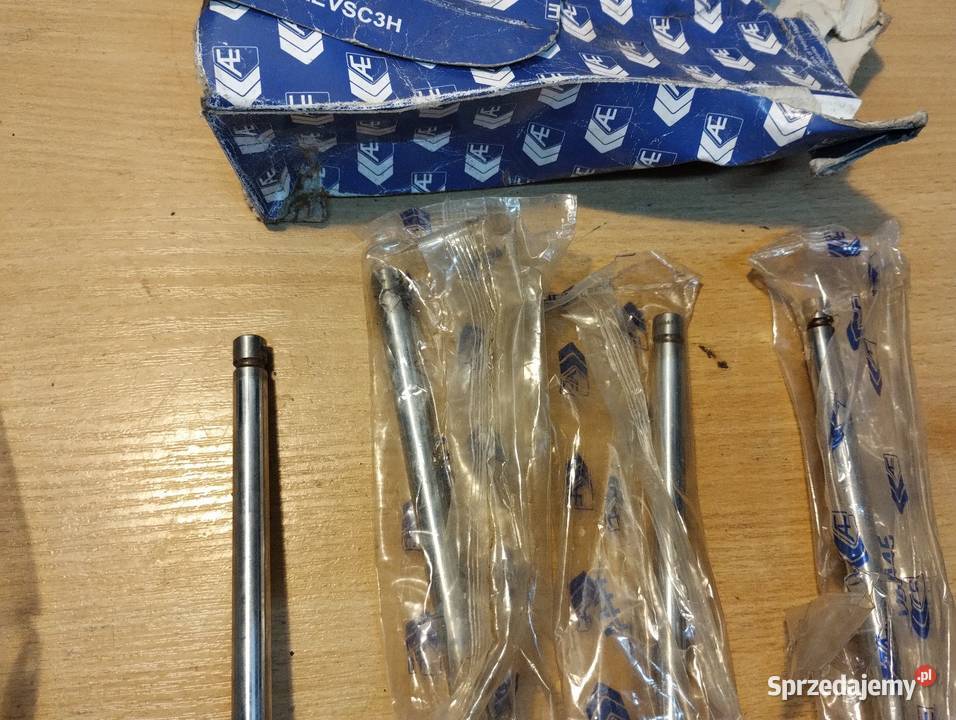 Scania zawory dolotowe AE V94444 Pozostałe Bielsko-Biała