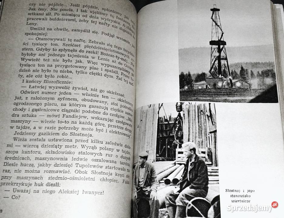 Portret z diamentów Józef Lenart miękka z obwolutą Pozostałe Chełm