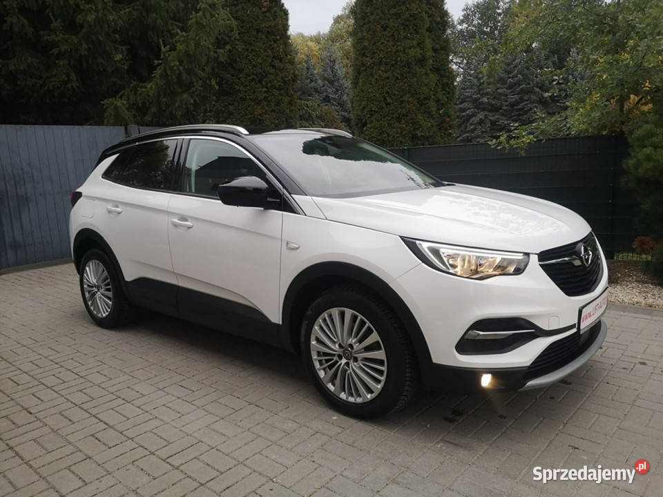 Opel Grandland X 15 TD 130 Klimatr Temp Parktr biały Grandland X Strzegom