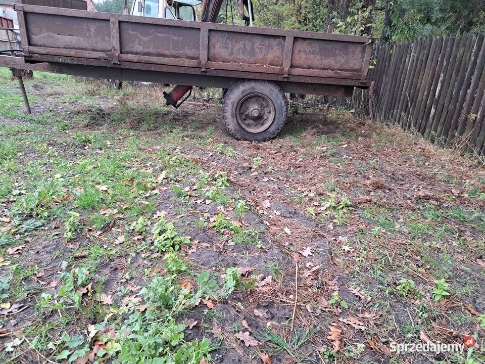 Przyczepa jednoosiowa wywrotka na tył nieuszkodzony Gizałki sprzedam