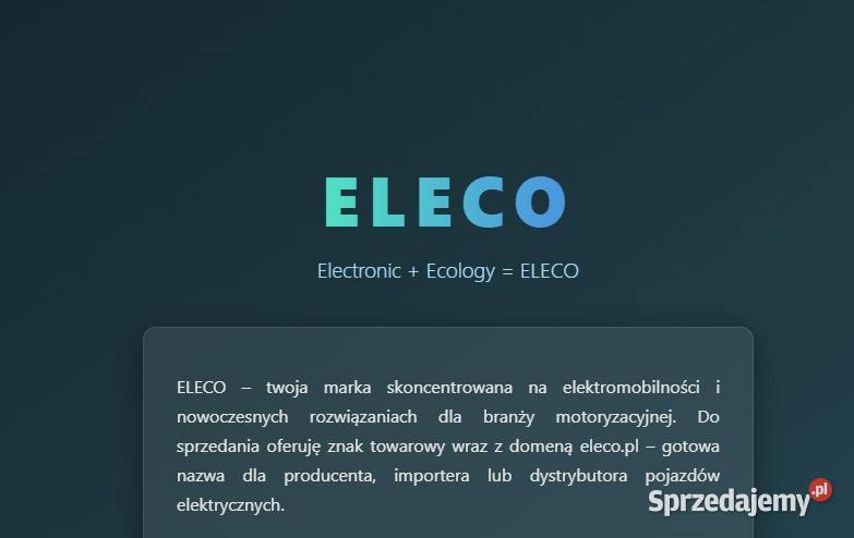 Domena eleco znak towarowy salon DFSK Kia Tesla Karkówka