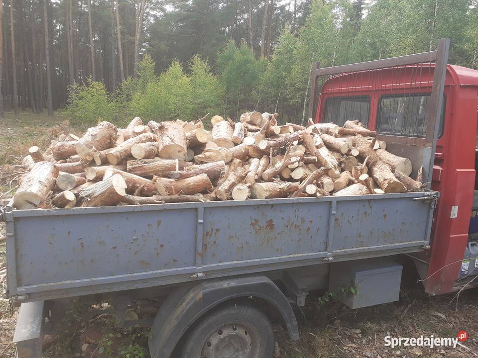 Sprzedaż drewna Ciechocinek