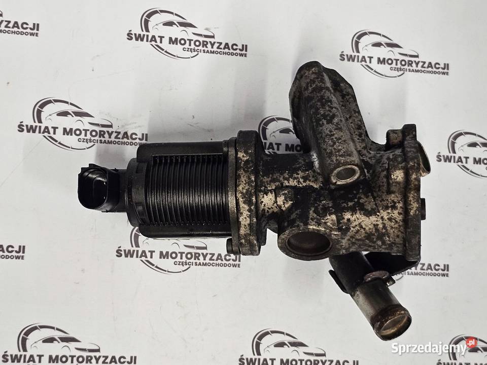 OPEL FIAT 13 CDTI 263A2000 zawór EGR 53446103