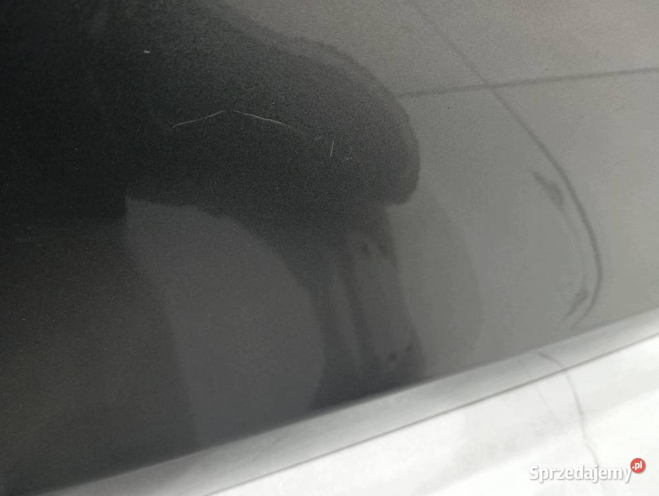 DRZWI PRAWE TYŁ XL LX7R Seat Altea I 2004 sprzedam