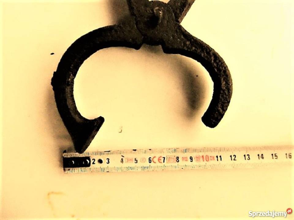 szczypce kleszcze cęgi koła nosowe byk krowa