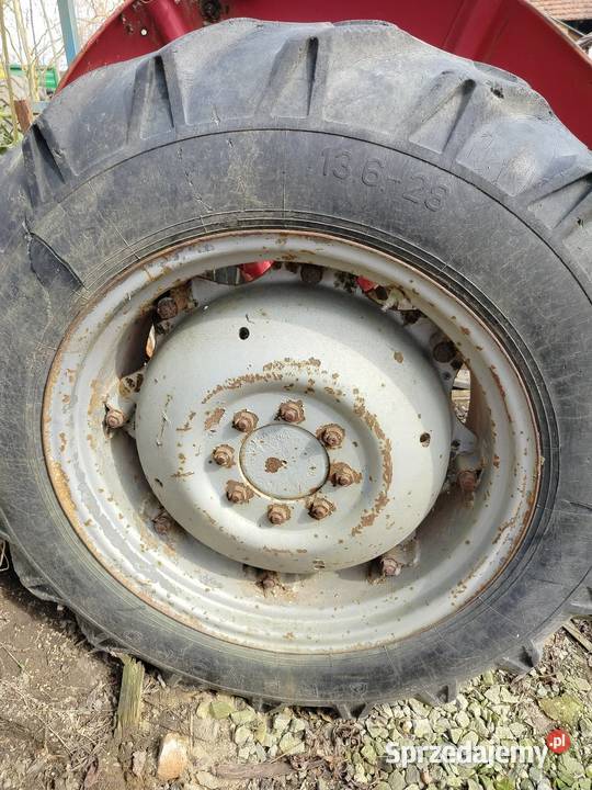 Massey Ferguson 65 opolskie Nysa