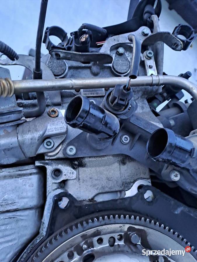 Seat Ibiza 6L III 12 12V silnik kompletny kod Jastrzębie-Zdrój