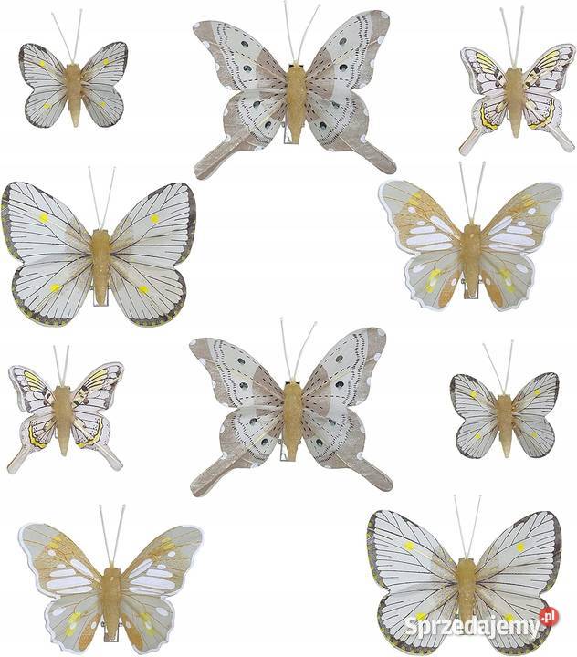 Motyle dekoracyjne z klipsem do kolorowej Myszyniec