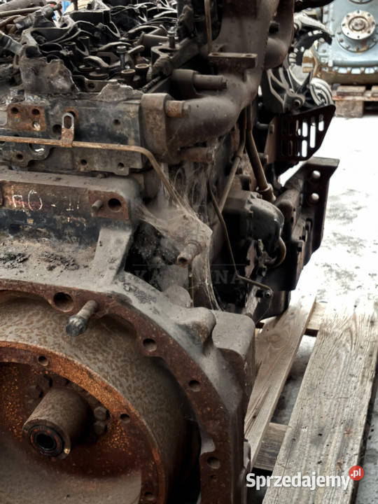 Perkins 33922200 Silnik Blok Wał Koło Pasowe wielkopolskie Jastrzębniki