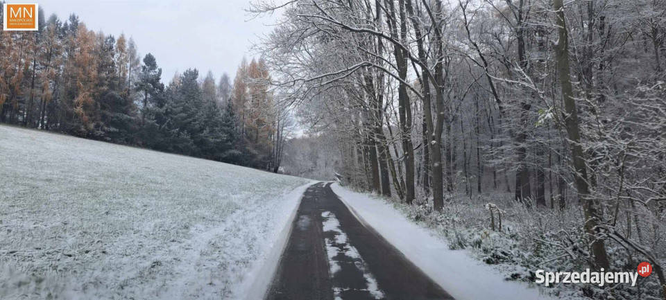 Grunt Łuczyce 700m2 prąd