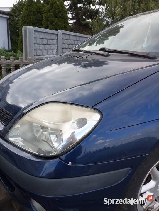 Renault Scenic 1 fl silnik 19dci na części Scenic wielkopolskie sprzedam
