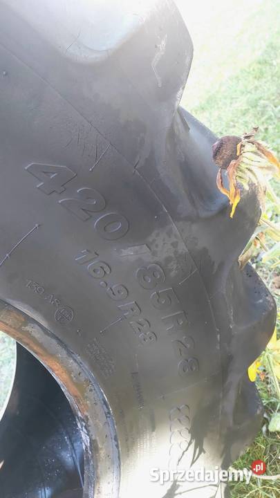 Opona 420 85 28 169 28 Biłgoraj