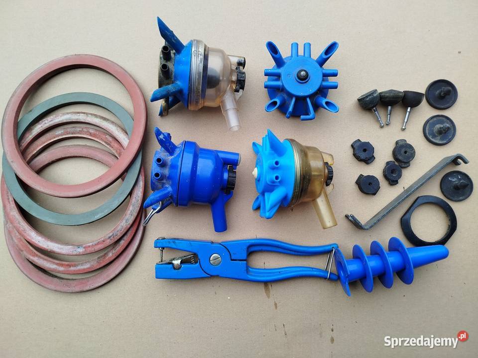 Kolektor kolczykownica poskrom kujawsko-pomorskie Strzelno