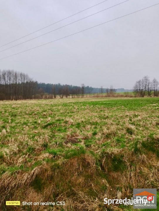 sprzedaży ziemi Pobierowo 1000 metrów Sprzedaż