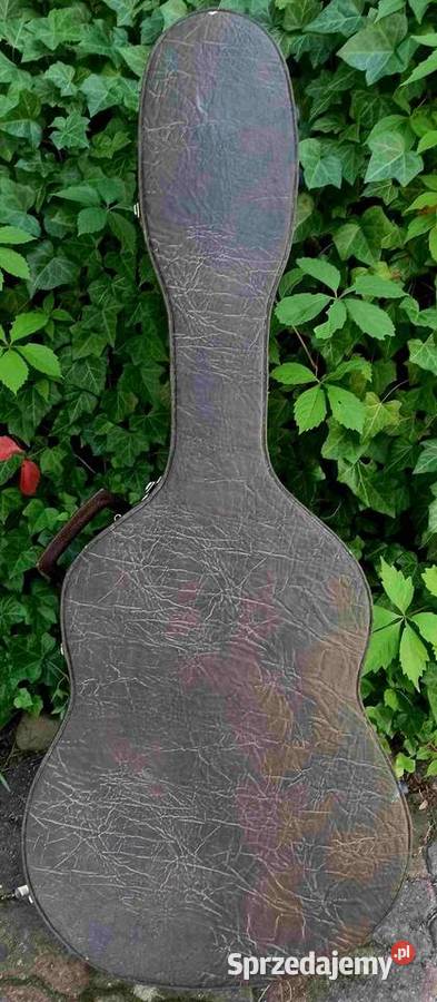 Gitara akustyczna Applause Case Korea Muzyka Tuszyn