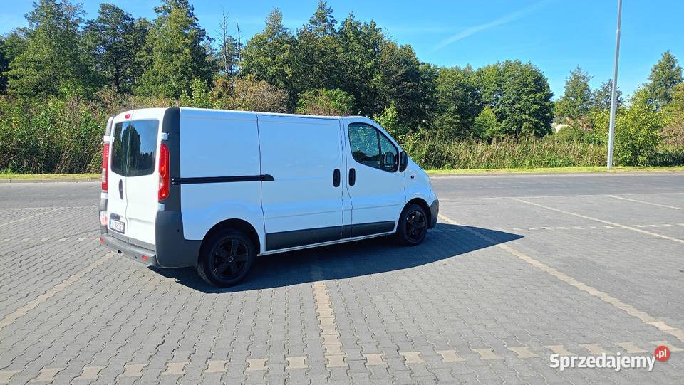 Opel Vivaro 2009 2000cm3 Lipno