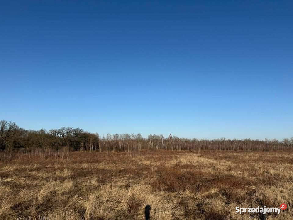 Oferuję działke rolną Bystrzycą w Jerzmanowie Wrocław