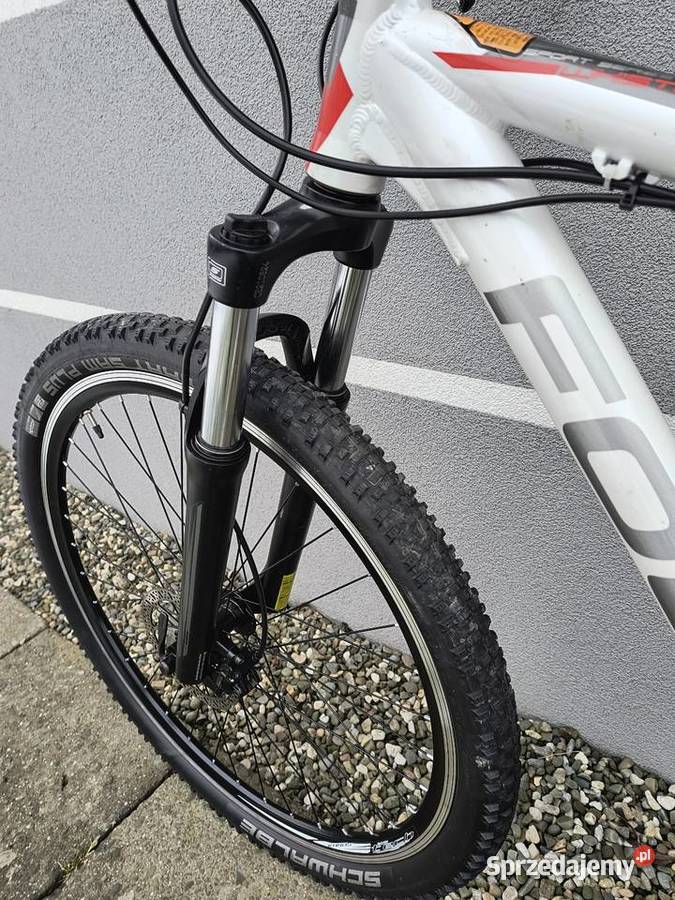 Rower górski Fokus śląskie