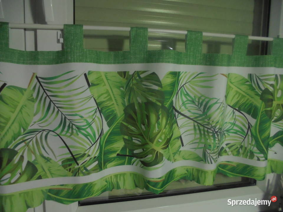 wyprzedaz zazdrosek liscie monsterana wys 43 na