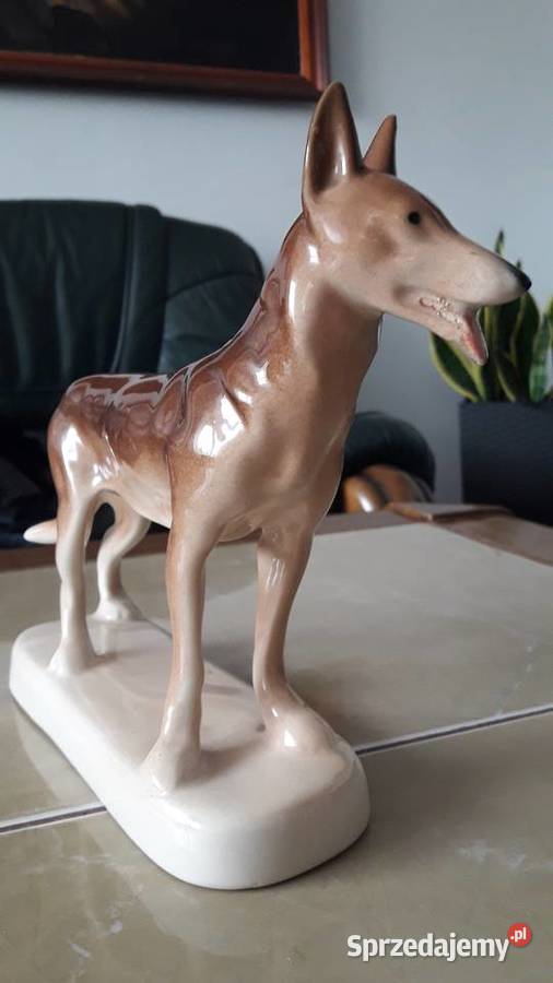 Pies Wilczór Chodzież lata 60 te PRL Antyki, Sztuka, Kolekcje Janów Lubelski