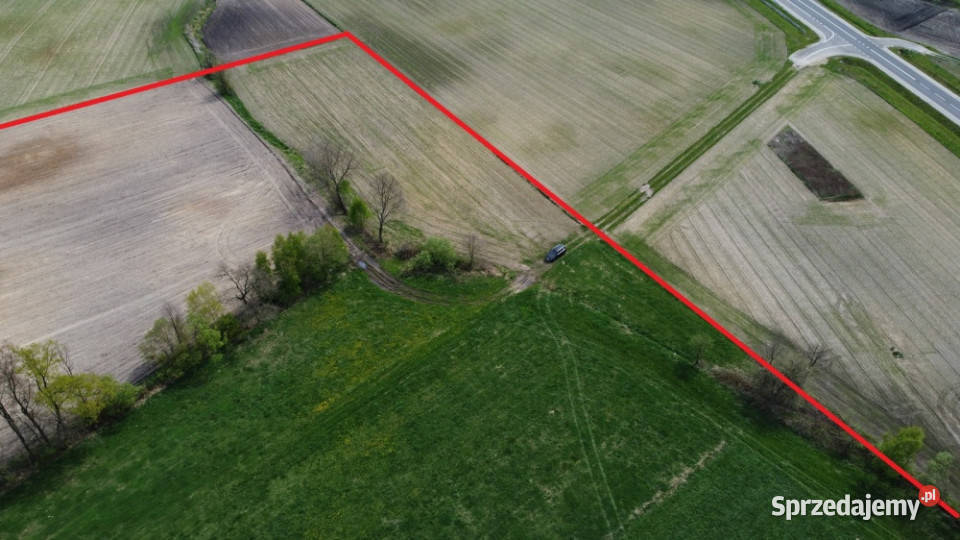 11 ha w jednym kawałku foremna działka 8 Lipna Suradowo sprzedam