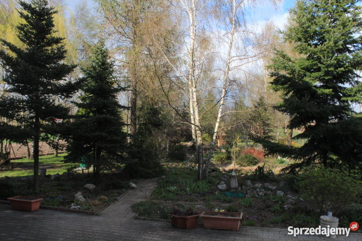 SPRZEDAM PIĘKNY DOM W MIECHOWIE ZARAZ asfalt Miechów