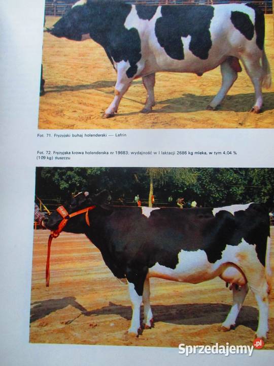 Atlas ras zwierząt gospodarskich bydło konie rolnictwo, nauki rolnicze Łódź