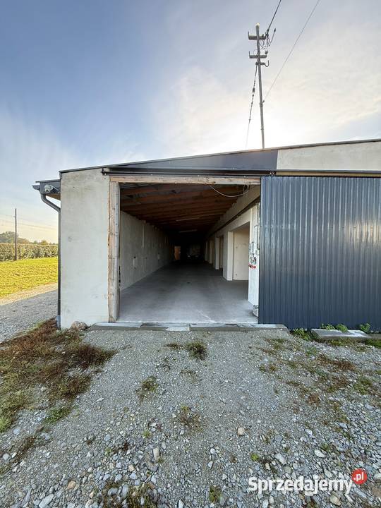 Magazyn 1000 m do wynajęcia Duża działka Pielgrzymowice