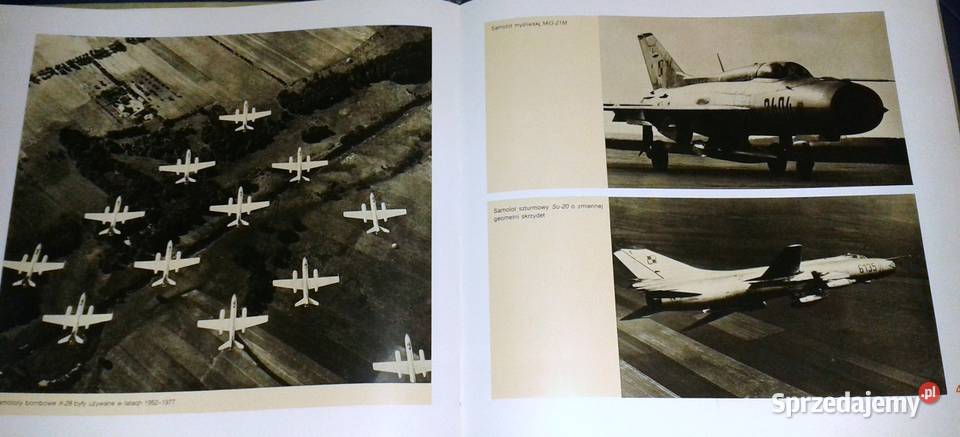 Polskie skrzydła Andrzej Glass twarda Chełm