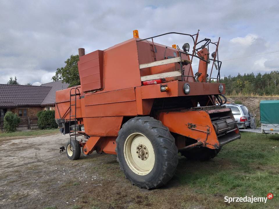 Bizon Wilkowo sprzedam