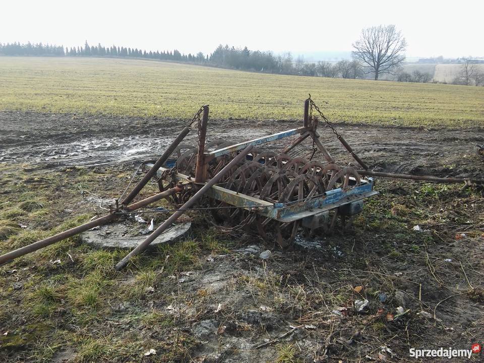 WAŁ Campbella Cambella stan w pełni sprawny Bierzgłowo sprzedam