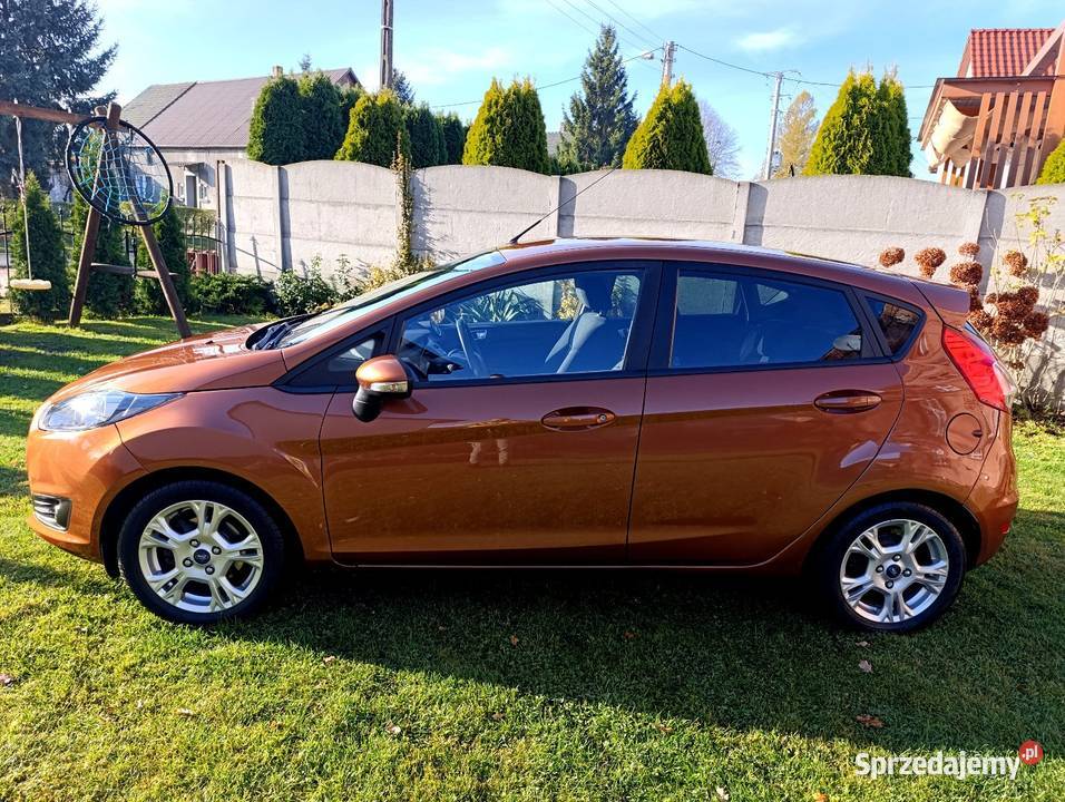 Ford Fiesta 10 ben 100 2013r śliczna Polski 4/5