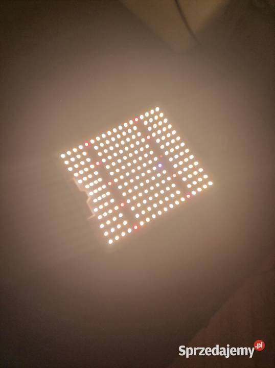 Lampa Grow Led Spider Farmer Sf 1000 Growbox Mars Hydro Wroclaw Sprzedajemy Pl