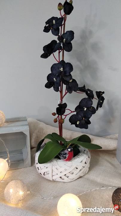 Storczyki sztuczne